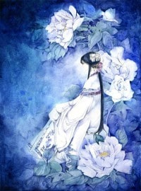 妖王的宠妻